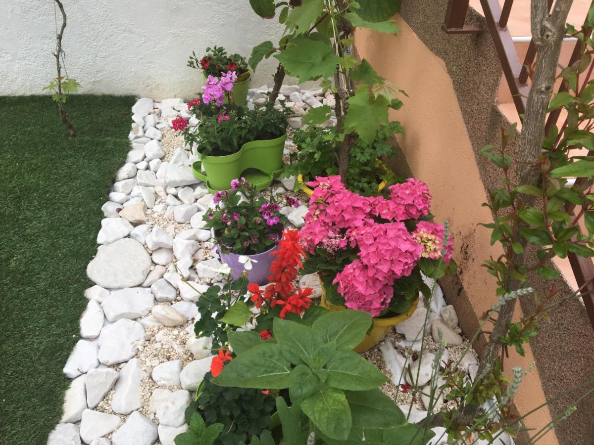Ljiljana Apartment